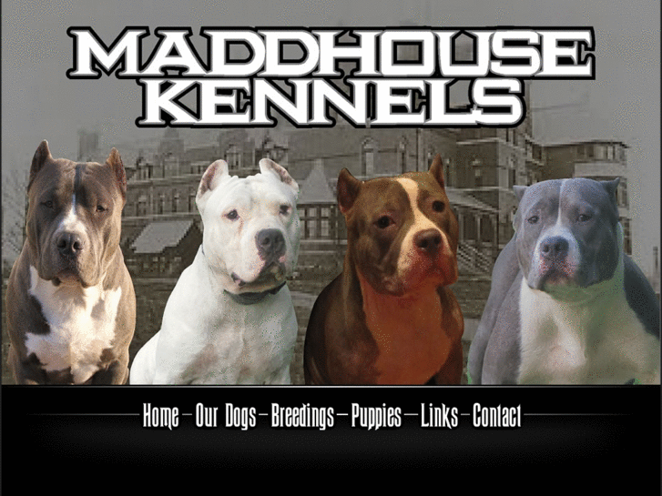 www.maddhousekennels.com