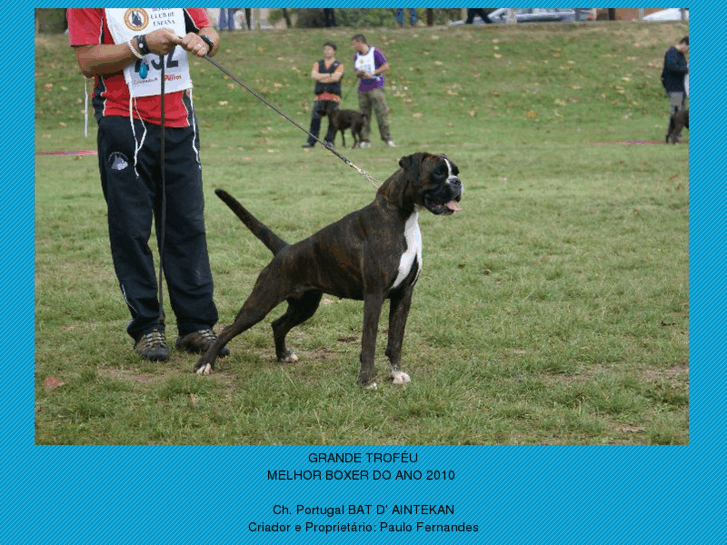 www.boxerclubportugal.com