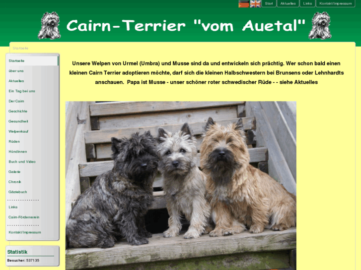 www.cairn-terrier.org