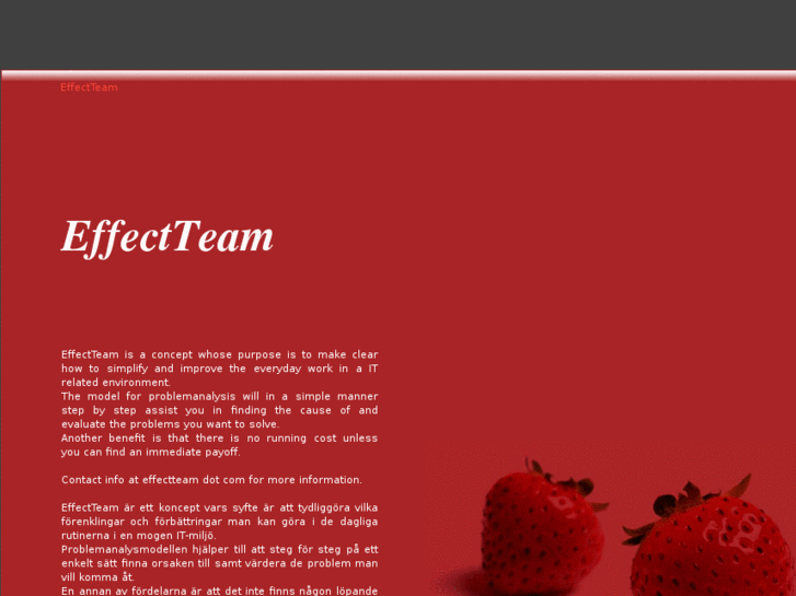 www.effectteam.com