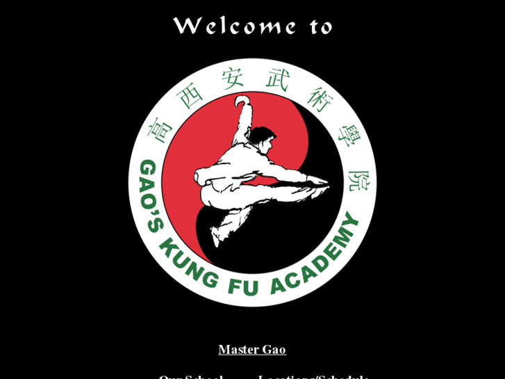 www.gaokungfuacademy.com