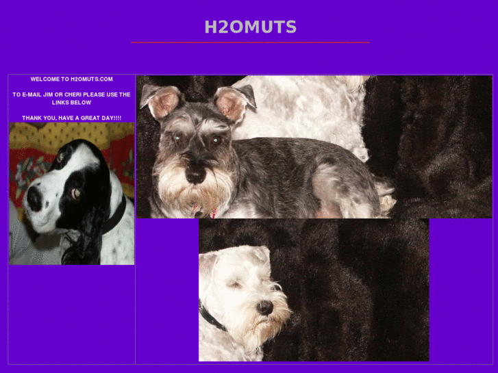 www.h2omuts.com