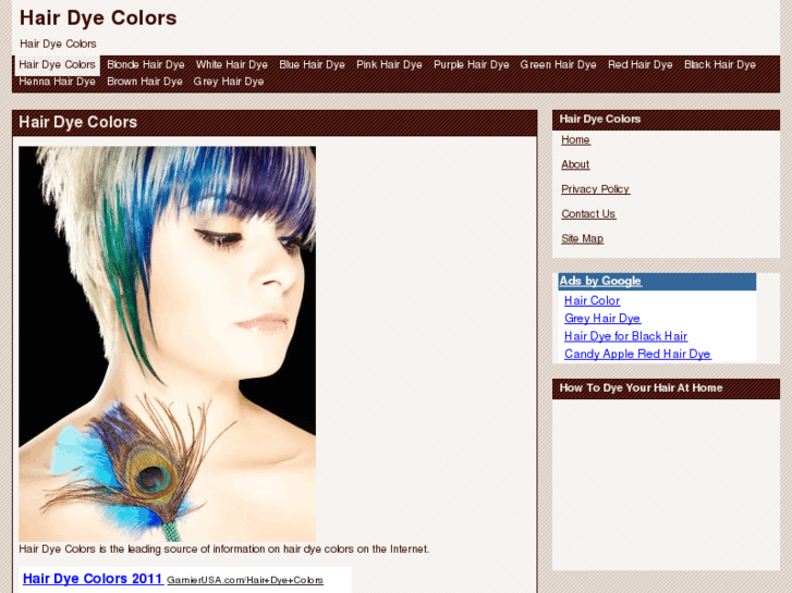 www.hairdyecolorsnow.com