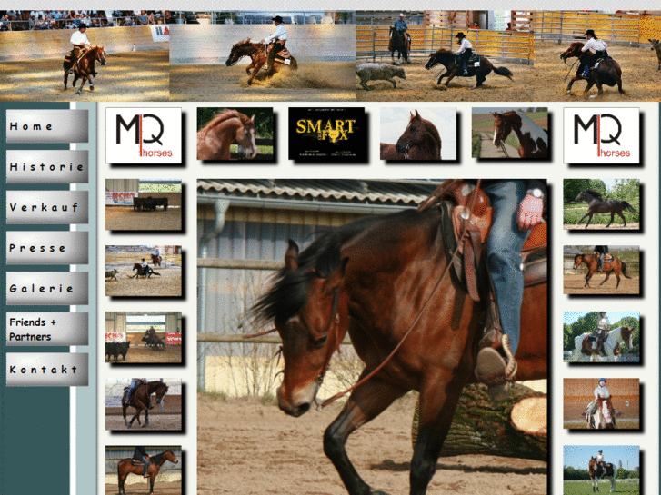 www.mqhorses.de