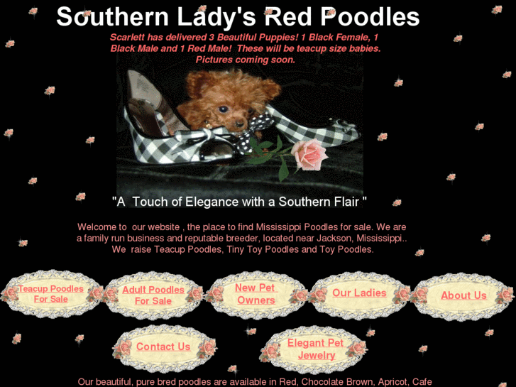 www.southernladysredpoodles.com