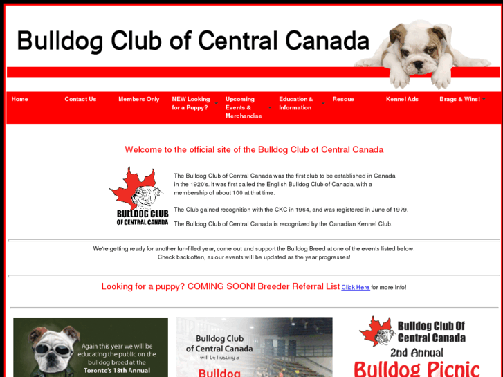 www.bulldogclubofcentralcanada.net