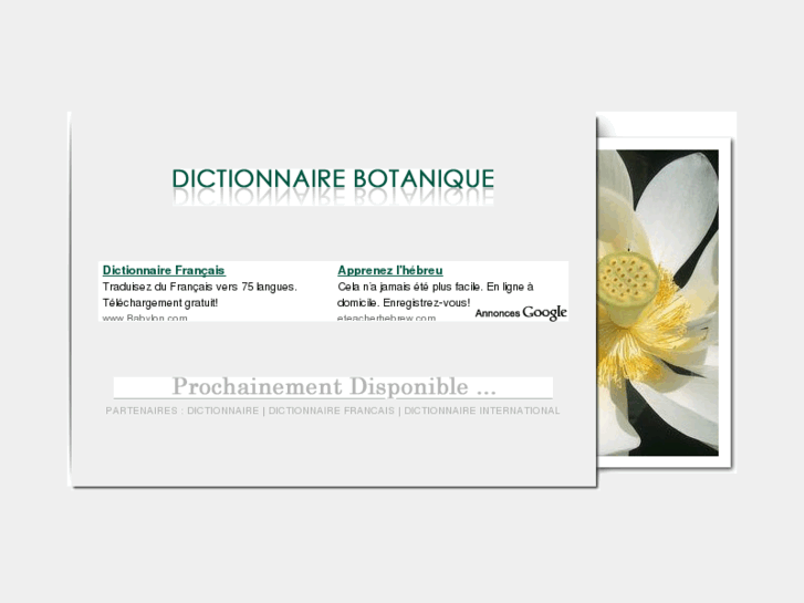 www.dictionnaire-botanique.com