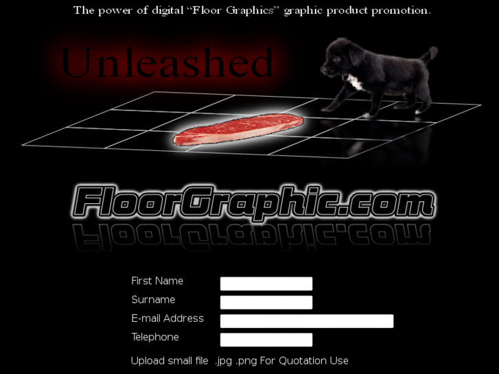 www.floorgraphic.com