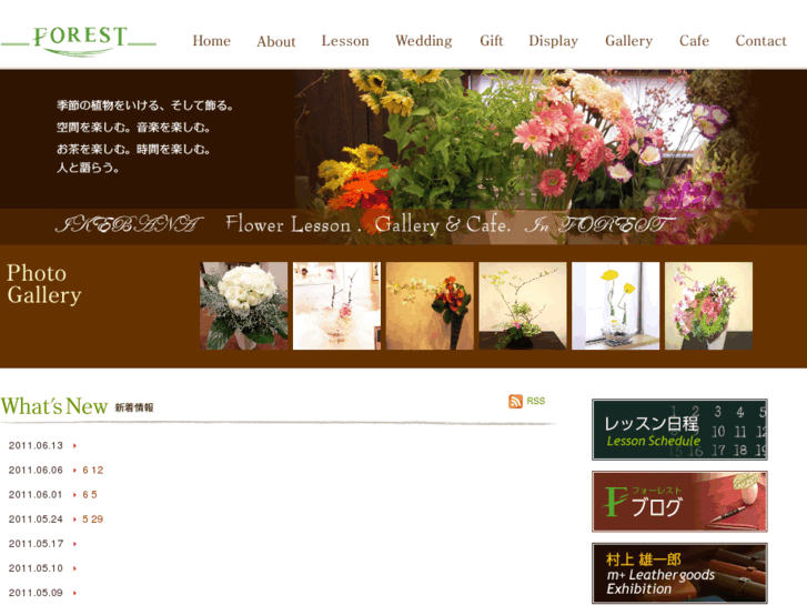 www.forest-studio.com