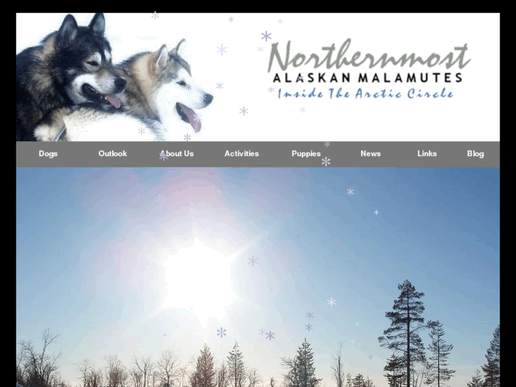 www.laplandmalamutes.com