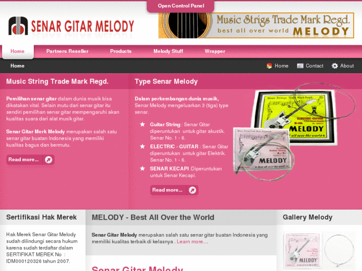 www.melodyguitarstring.com