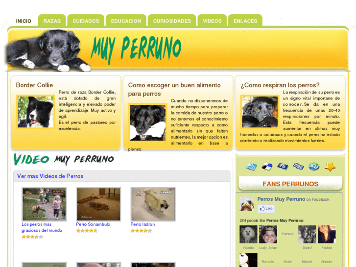 www.muyperruno.com