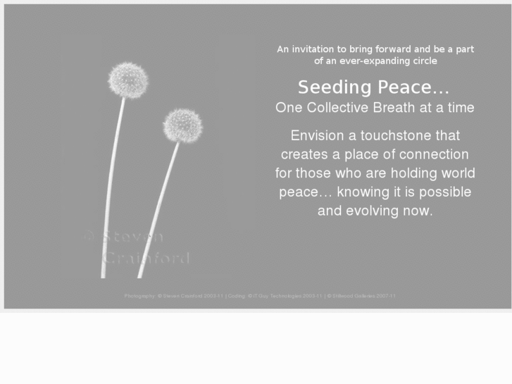 www.seedingpeace.net