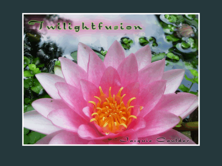 www.twilightfusion.com