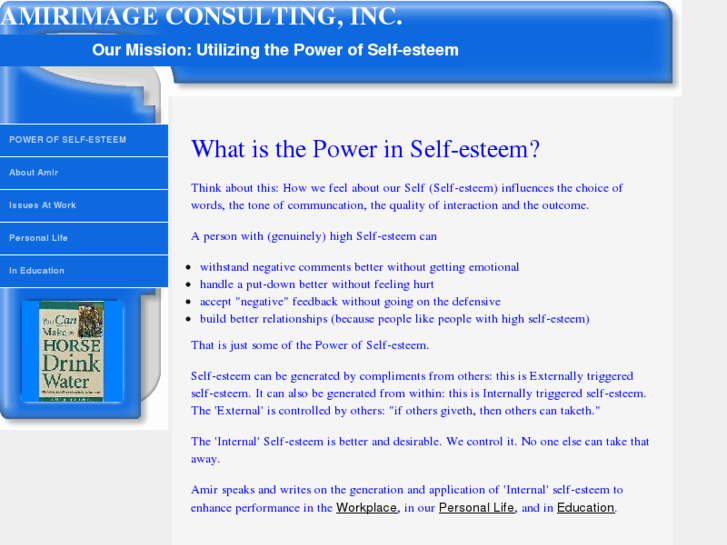 www.amirimageconsulting.com