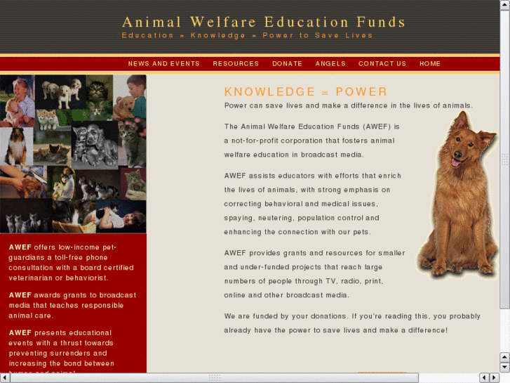 www.animalwelfareeducation.org