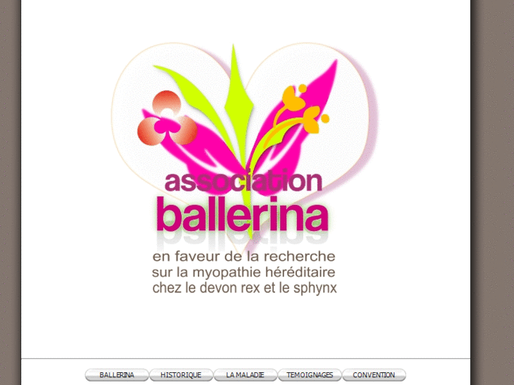 www.associationballerina.com