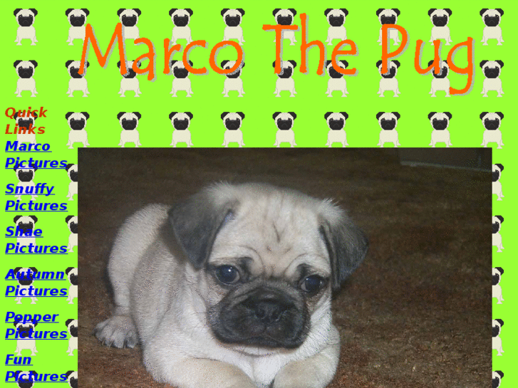 www.marcothepug.com