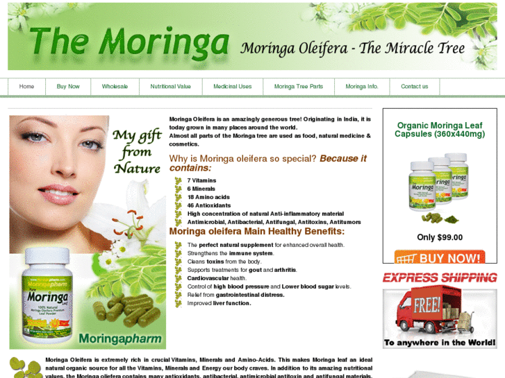 www.themoringa.com