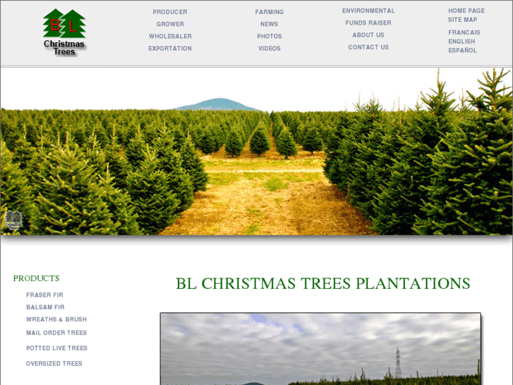 www.blchristmastrees.com