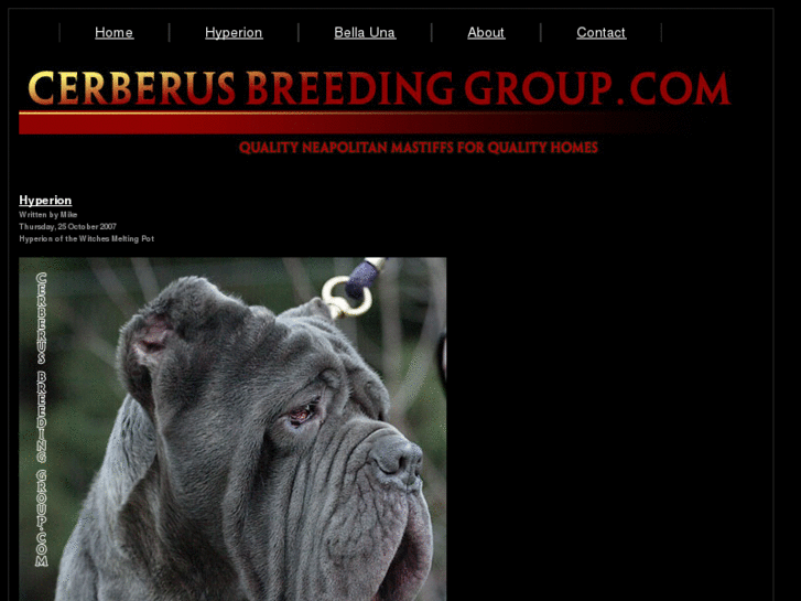 www.cerberusbreedinggroup.com