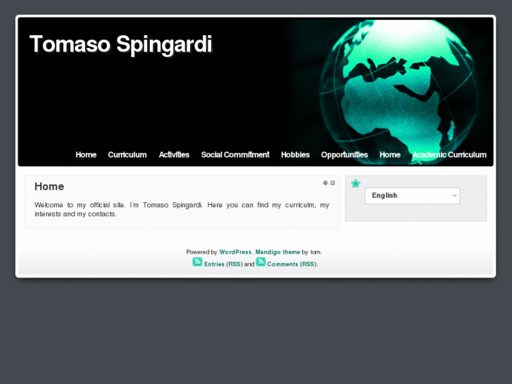 www.tomasospingardi.com