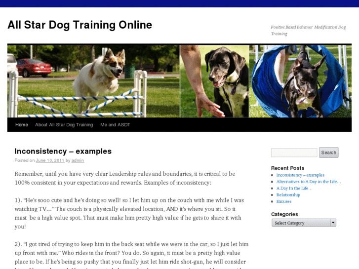 www.allstardogtrainingonline.com