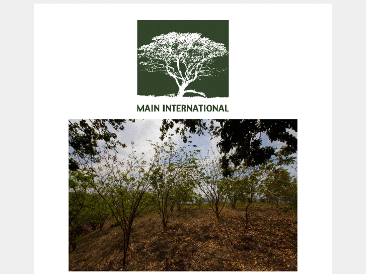 www.main-international.com