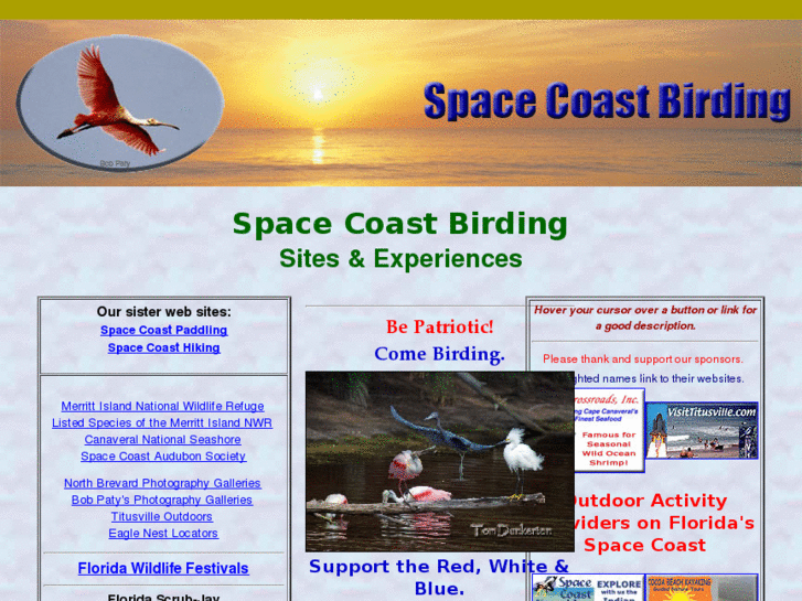 www.spacecoastbirding.com