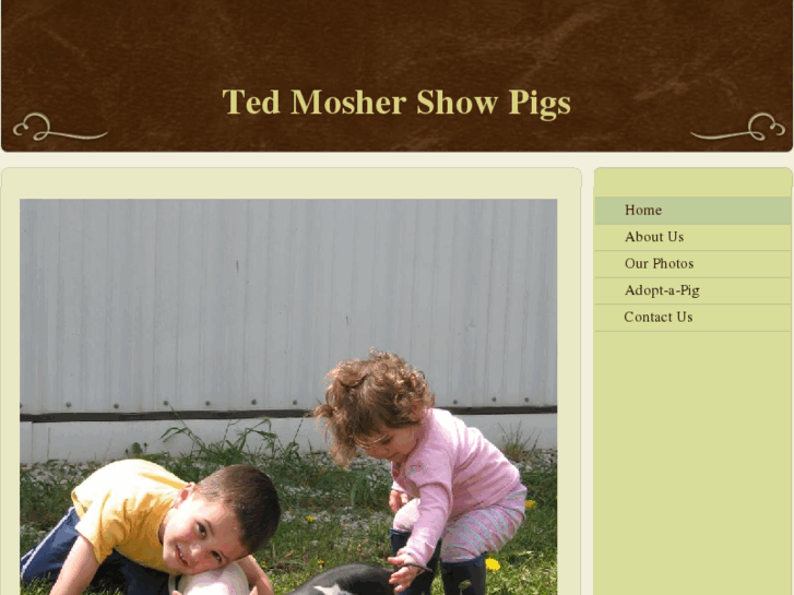 www.tedmoshershowpigs.com