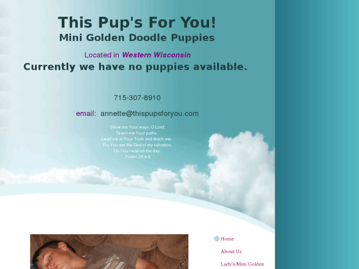 www.thispupsforyou.com