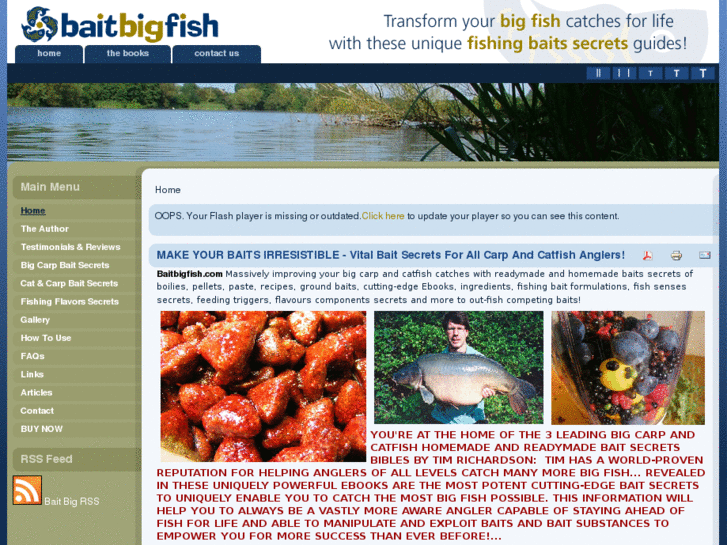 www.baitbigfish.com