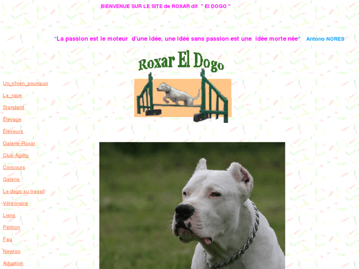 www.el-dogo.com