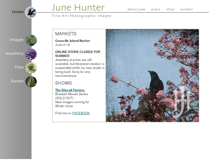 www.junehunter.com