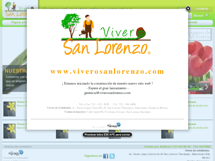 www.viverosanlorenzo.com