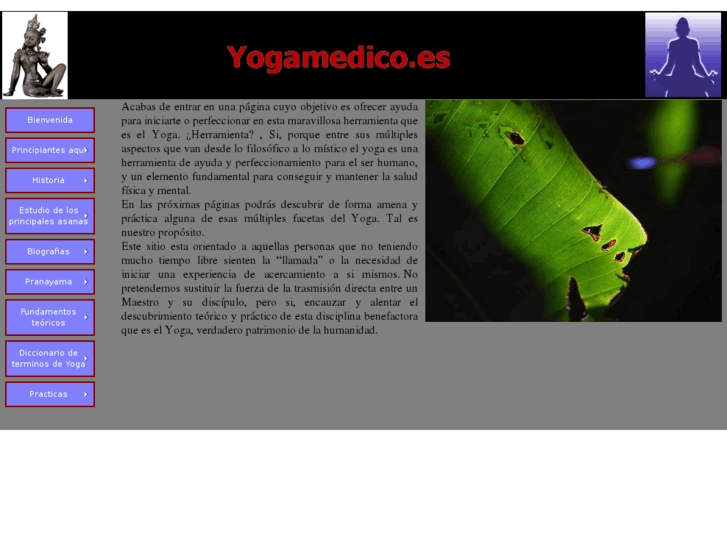 www.yogamedico.es