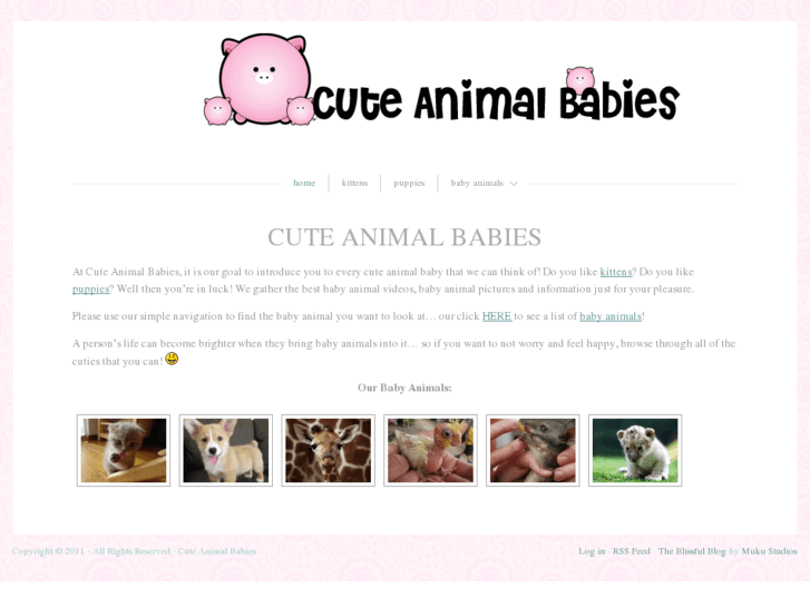 www.cuteanimalbabies.com