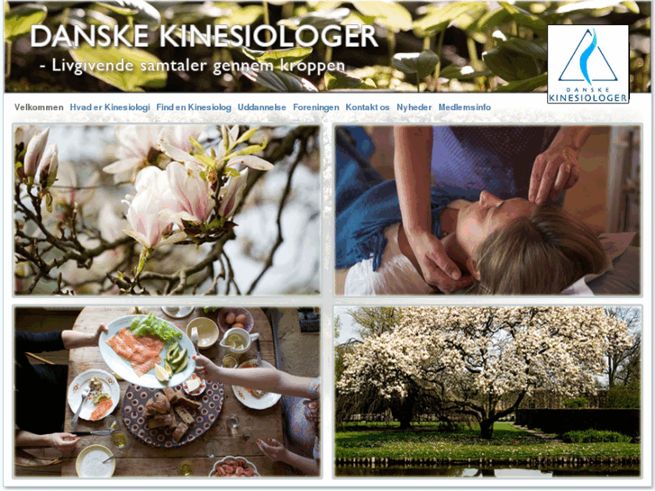 www.kinesiologi.dk