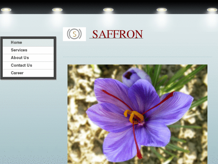 www.saffronfood.com