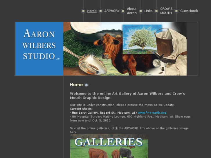 www.aaronwilbersstudio.com