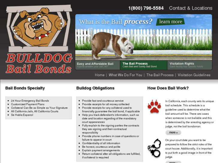 www.bailbondsbulldog.com