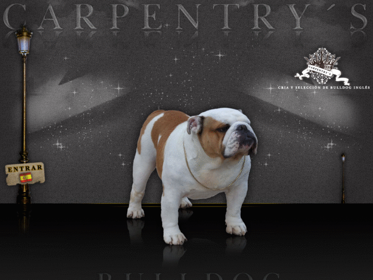 www.carpentrys-bulldog.es