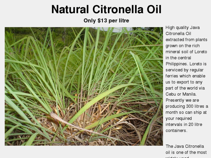 www.citronellaoil.net