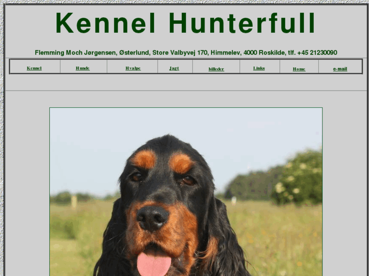 www.hunterfull.dk