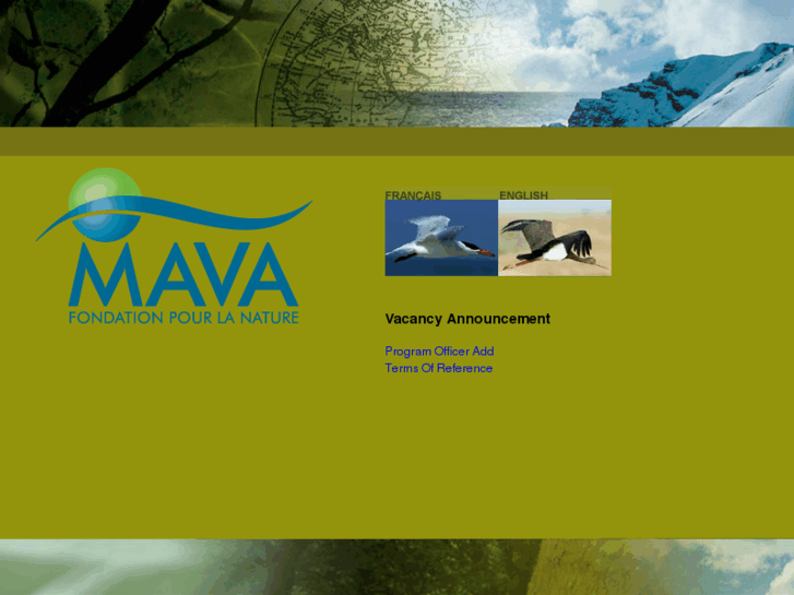 www.mava-foundation.org