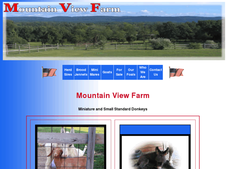 www.mvf-donkeys.com