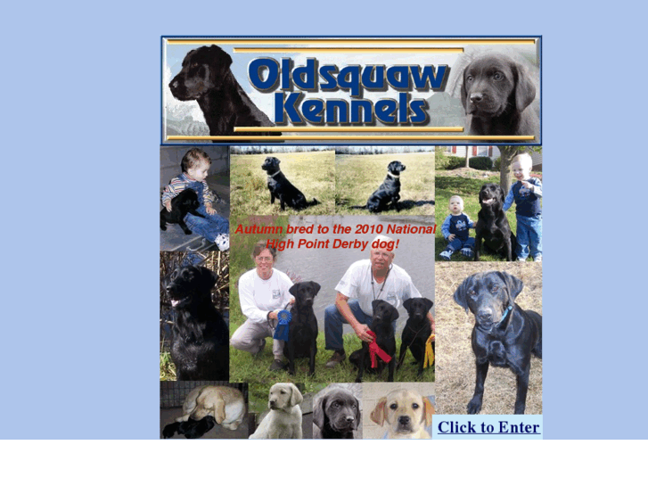 www.oldsquawkennels.com