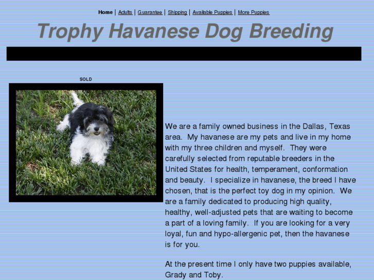 www.trophyhavanese.com