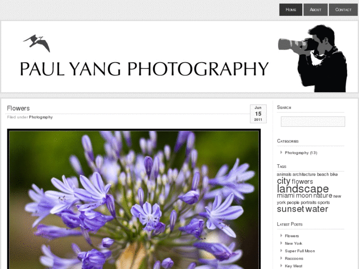 www.paulyang.com