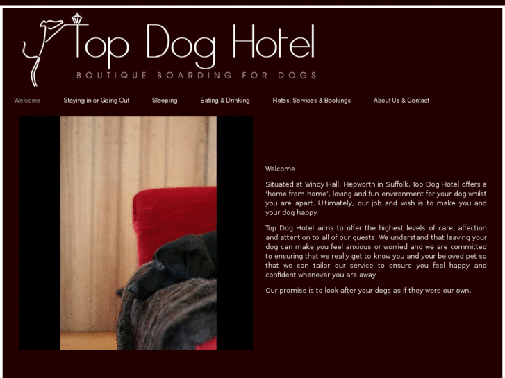 www.topdoghotel.co.uk